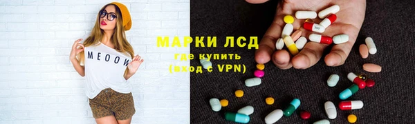 дмт Богданович