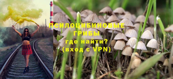 бошки Балахна