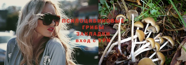 2c-b Белоозёрский