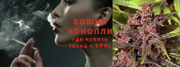 дмт Богданович