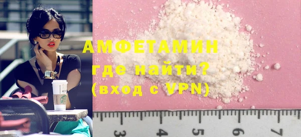дмт Богданович