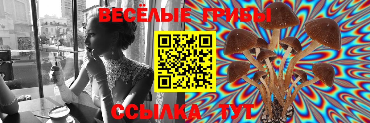 где купить наркоту  Вход с VPN  Беслан  Галлюциногенные грибы ЛСД 