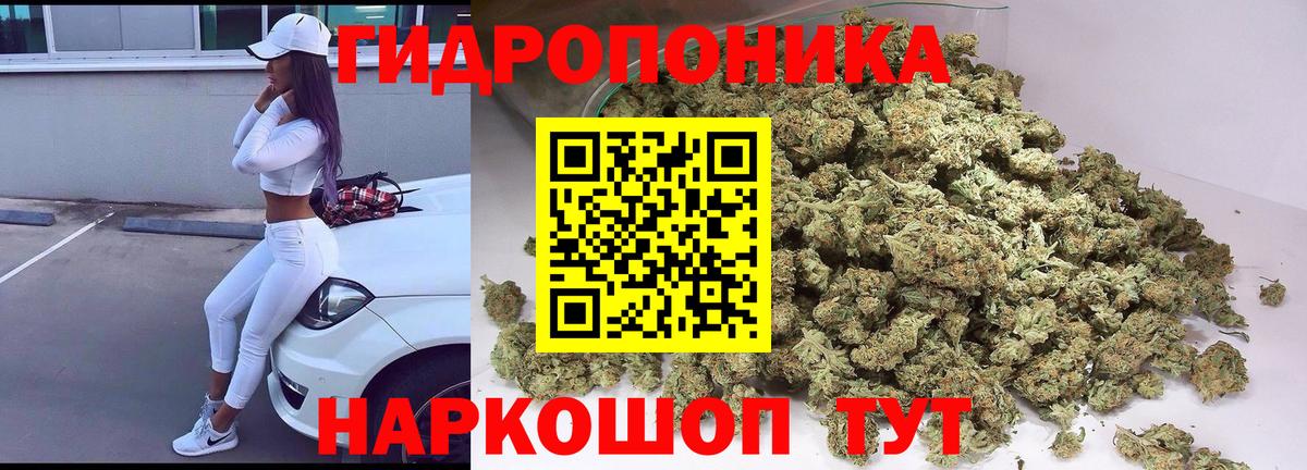 Марихуана Bruce Banner Беслан